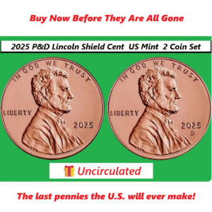 2025 Lincoln penny set p & D